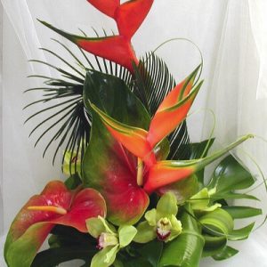 Tropical Heliconia, Ginger, Orchids