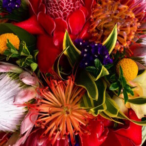 Protea