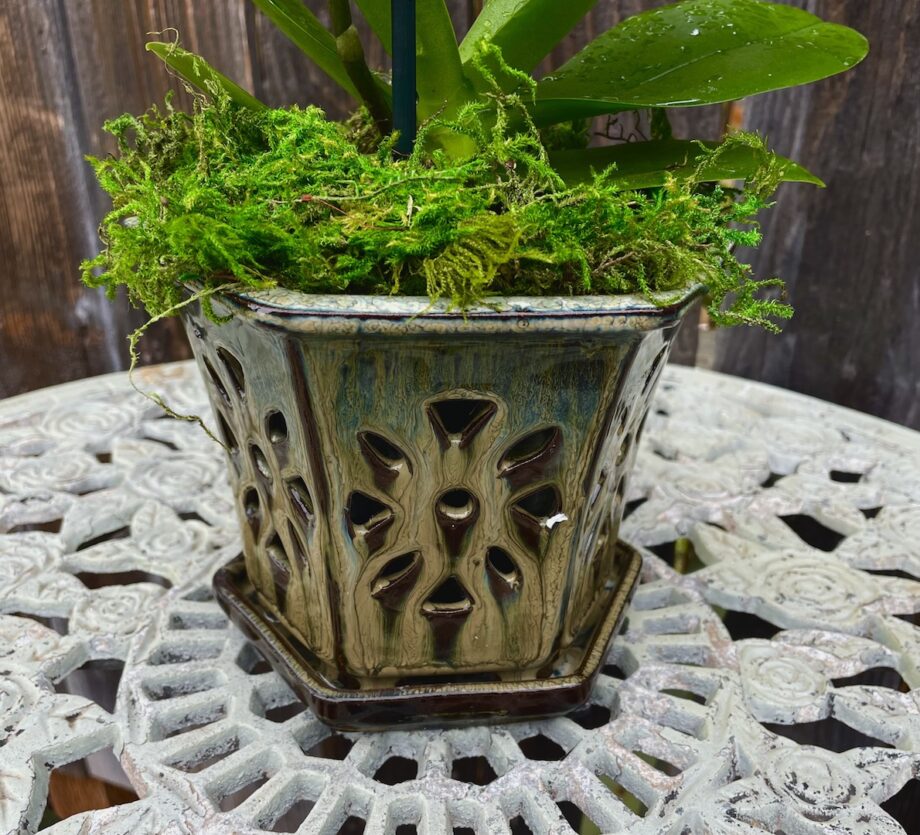 Ceramic Orchid Pot